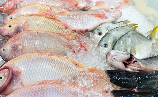 Đá viên bảo quản thủy hải sản