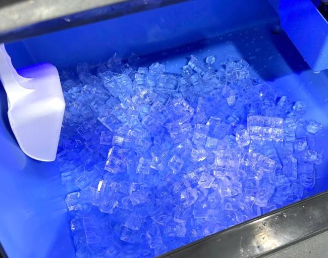 Buồng trữ đ&aacute; vi&ecirc;n