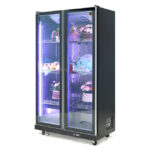 Tủ bảo quản hoa 2 cánh HR1180PJ 1000L