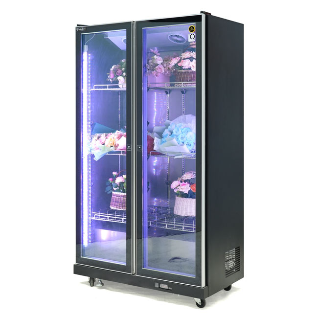 Tủ bảo quản hoa 2 cánh HR1180PJ 1000L