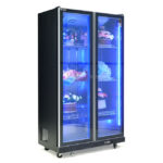 Tủ bảo quản hoa 2 cánh HR1180PJ 1000L