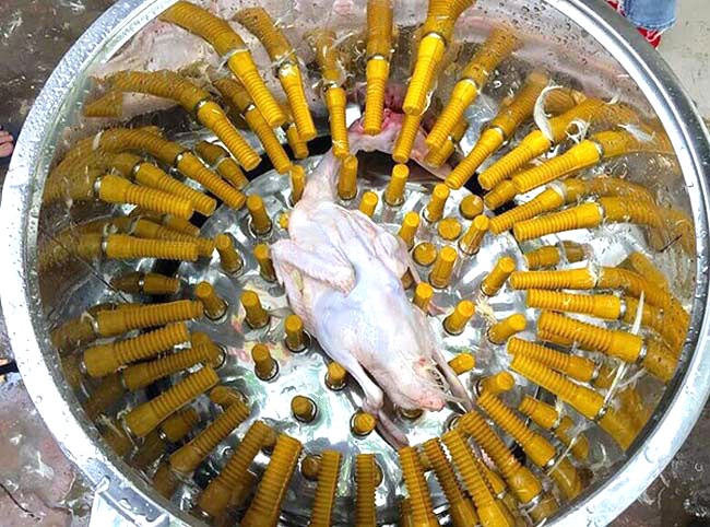 Vặt sạch đến 95%