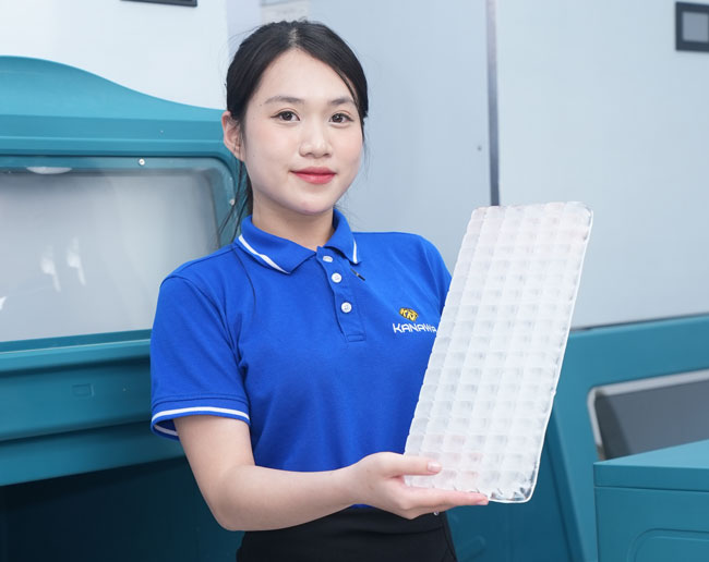 Đá viên kích cỡ 20x20mm