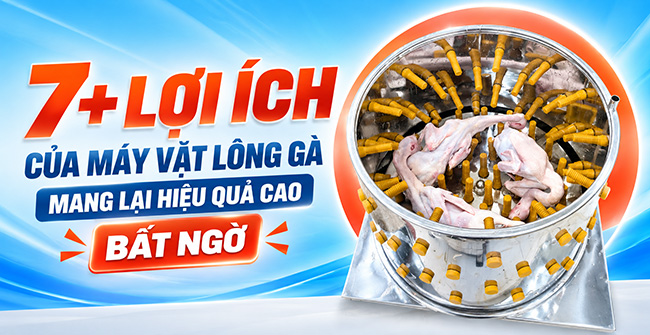 7 lợi ích của máy vặt lông gà mang lại