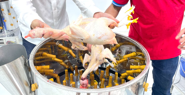 7+ Lợi ích của máy vặt lông gà mang lại hiệu quả cao bất ngờ