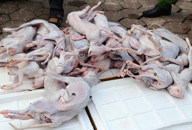 Tỷ lệ vặt sạch lông cao