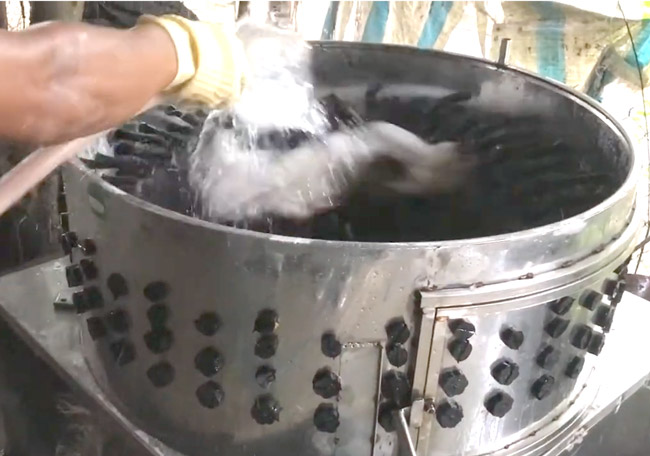 Máy làm lông dê lắp đặt sẵn