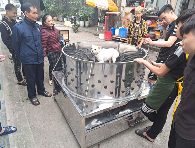 Máy vặt lông dê tiện ích