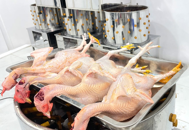 Máy vặt lông gà đáp ứng các tiêu chuẩn vệ sinh
