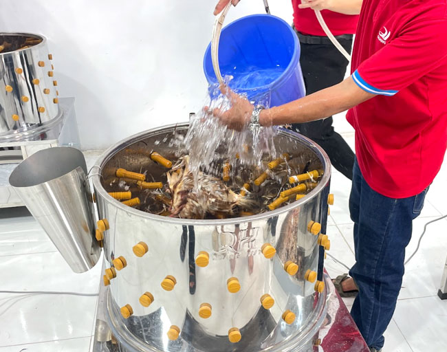 Máy vặt lông gà giảm gánh nặng chi phí nhân sự dài hạn