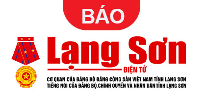 Quang Huy Plaza
