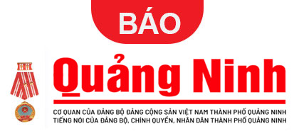 Quang Huy Plaza