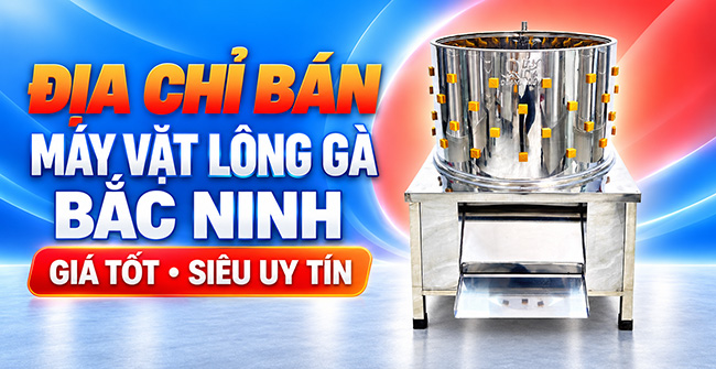 Quang Huy Plaza