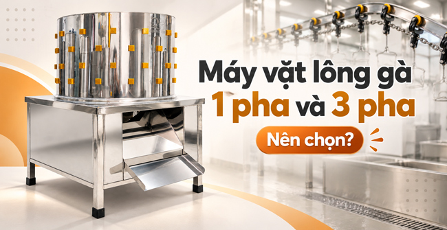 So sánh máy vặt lông gà 1 pha và 3 pha chi tiết từ A-Z