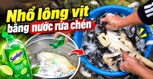 Nhổ lông vịt bằng nước rửa chén