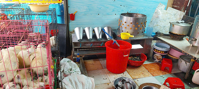 Bàn giao mát vặt lông gà cho khách