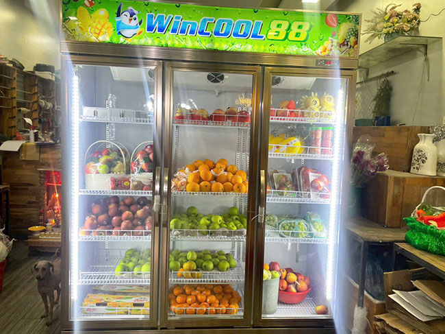 Bàn giao tủ mát 3 cánh cho khách