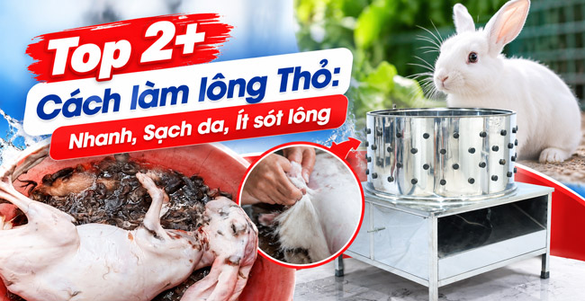 Cách làm lông thỏ