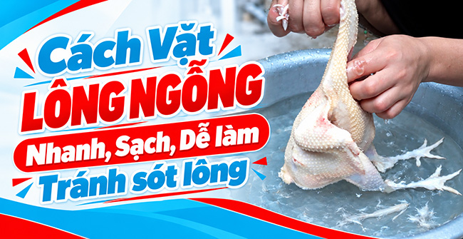 Cách vặt lông ngỗng nhanh