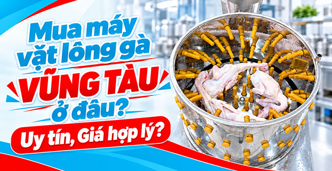 Mua máy vặt lông gà Vũng Tàu ở đâu Uy tín, Giá hợp lý?