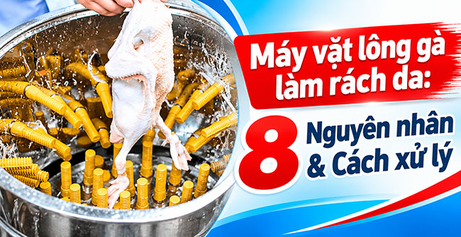 Máy vặt lông gà làm rách da: 8 Nguyên nhân & Cách xử lý