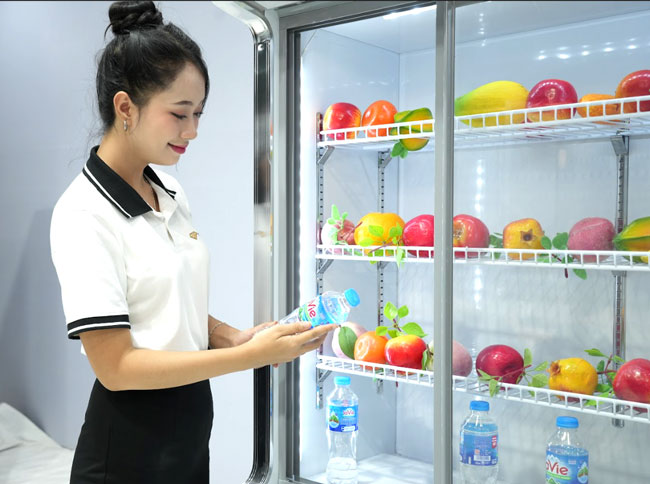 Tiêu chí quan trọng khi chọn mua tủ mát 2 cánh
